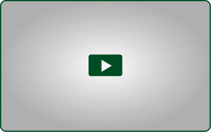 動画を再生する