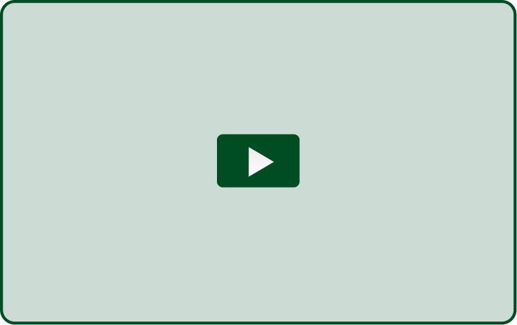 動画を再生する